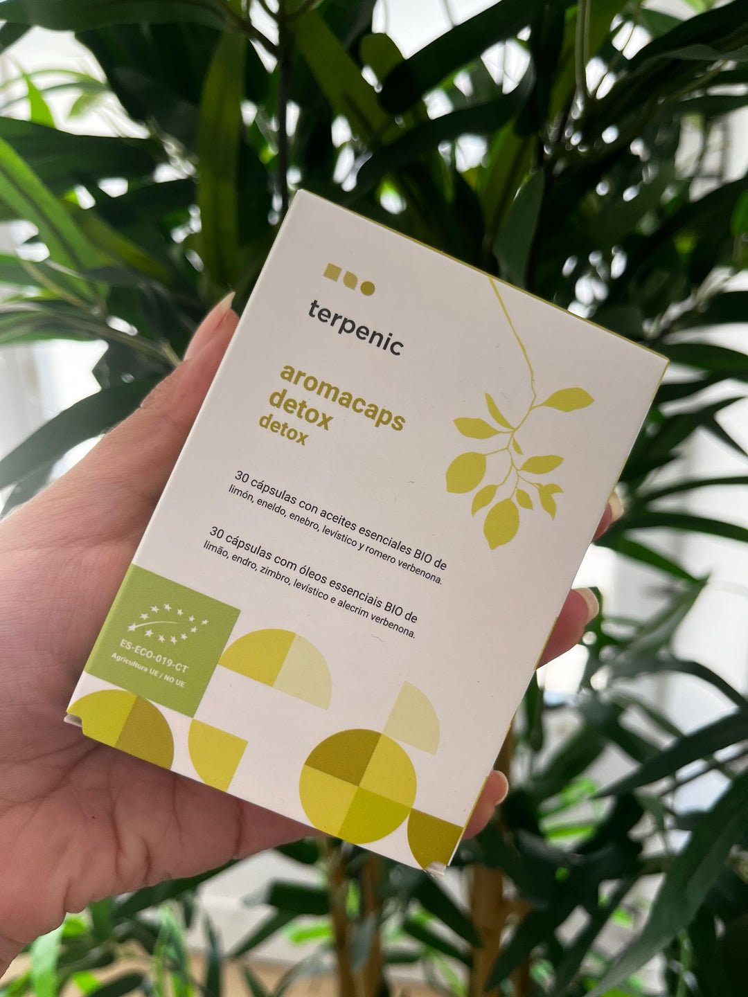 Cápsulas Óleos Essenciais 🌿bio | Detox
