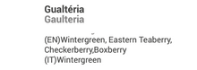 Wintergreen Essential Oil 10ml 🌿 bio | Gaultheria fragrantissima