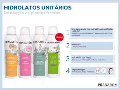 Hidrolato Perpétua Helichrysum italicum | Spray 150ml
