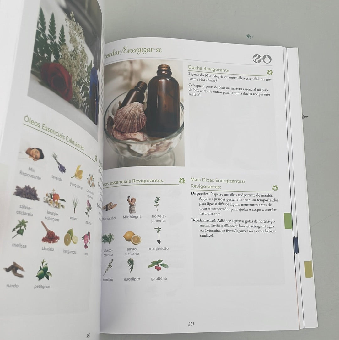 Livro Manual Modern Essentials 13ª ed.