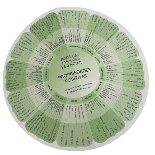 Book Modern Essentials