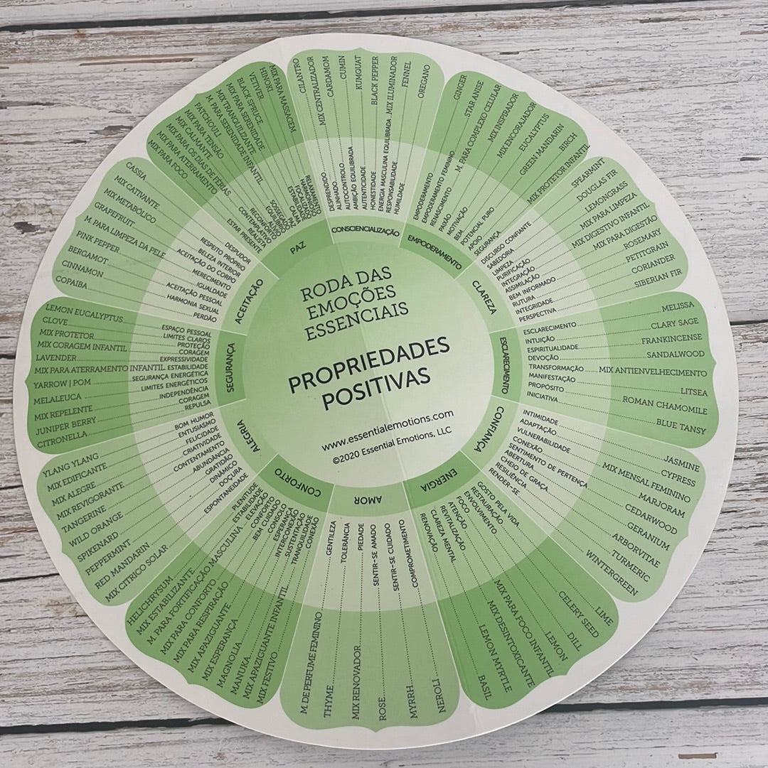 Roda das emoções em portugues