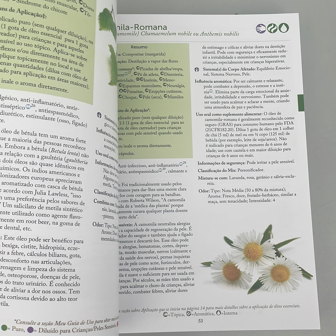 Book Modern Essentials