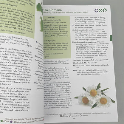 Book Modern Essentials