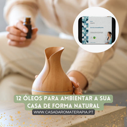 KIT Ambientador Difusão (12 óleos difusão)