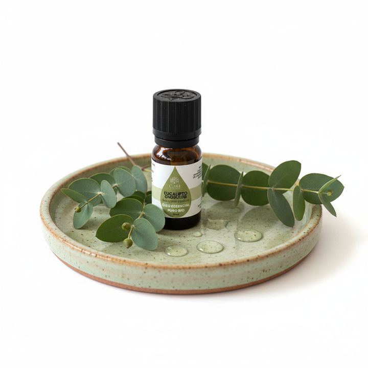 Óleo Essencial Eucalipto | Eucalyptus Globulus | 10ml