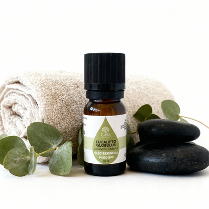 Óleo Essencial Eucalipto | Eucalyptus Globulus | 10ml