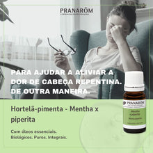 Óleo Essencial Hortelã Pimenta  Mentha piperita 10ml bio