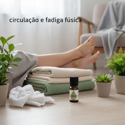 Óleo Essencial Cipreste | Cupressus sempervirens | BIO | 10ml