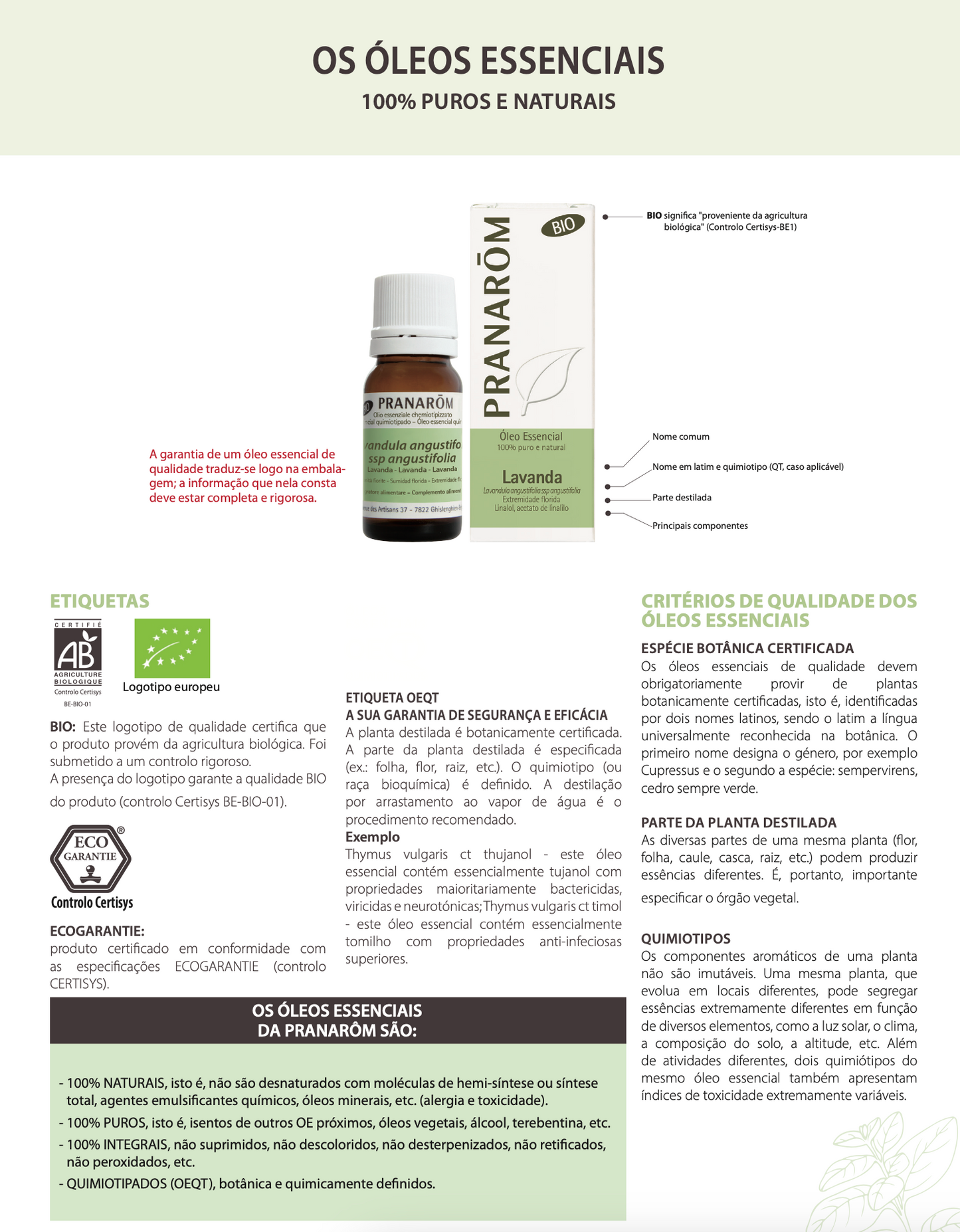 Óleo Essencial Sálvia Esclareia | Salvia Esclarea | BIO | 5ml
