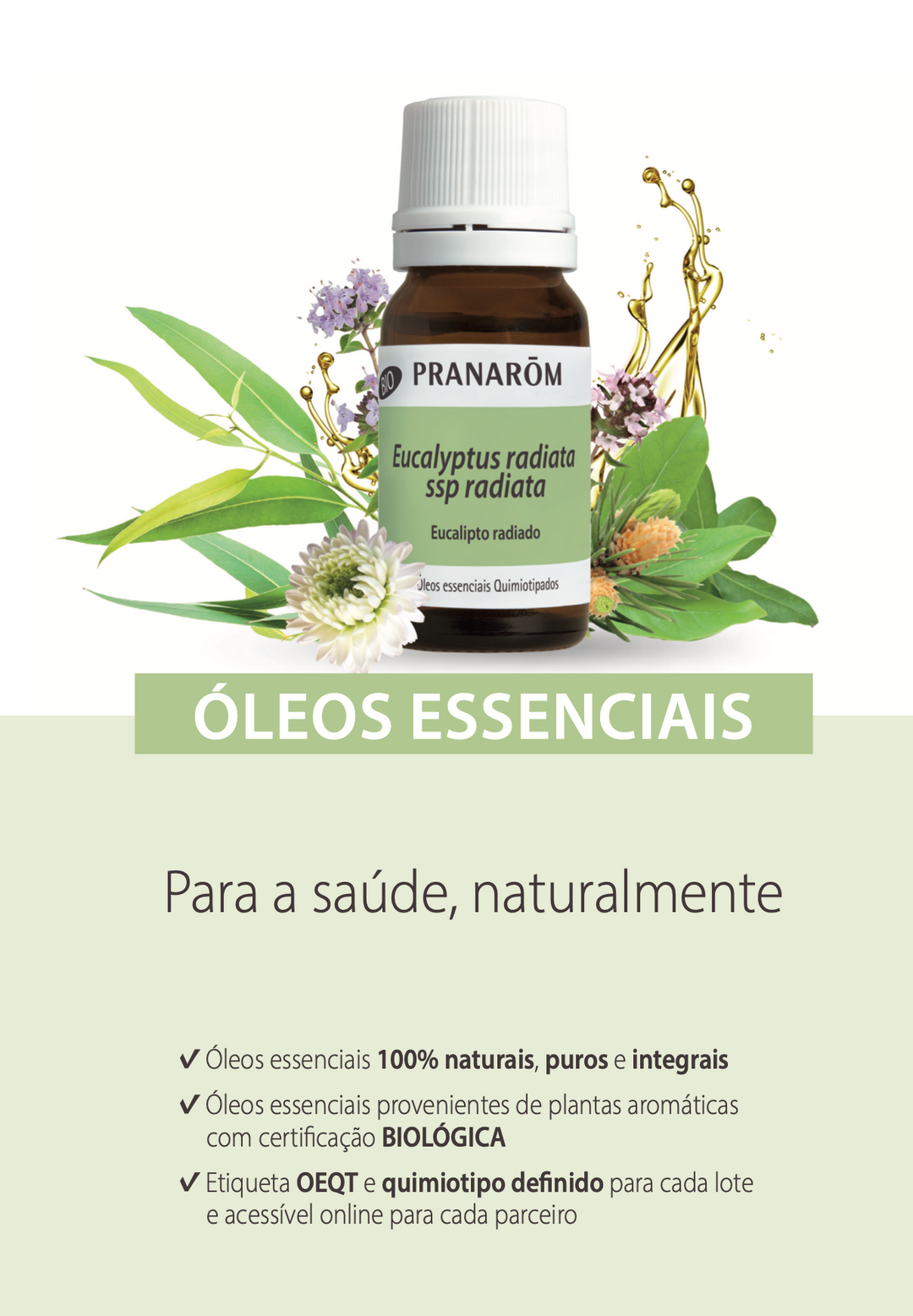 Óleo Essencial Árvore do Chá (tea tree) Melaleuca alternifolia 10ml 🌿bio