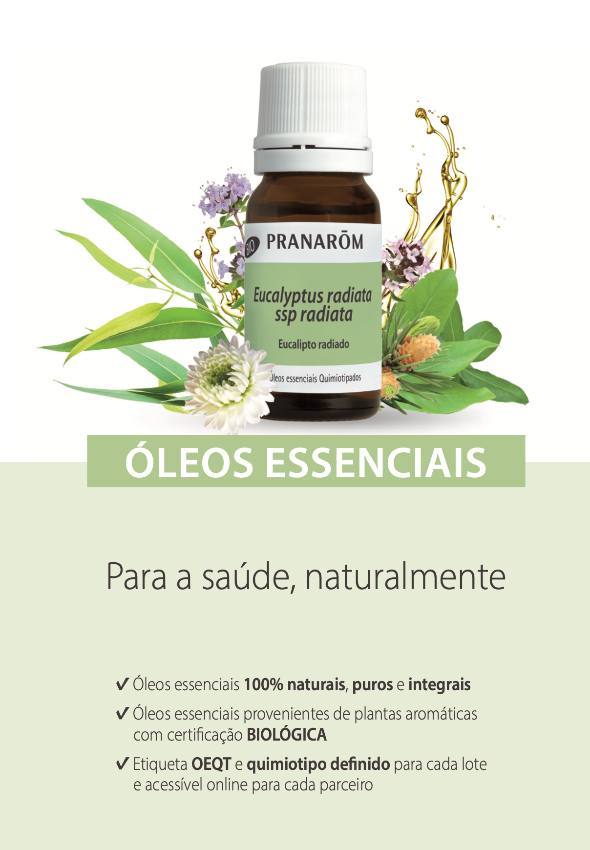 Óleo Essencial Árvore do Chá (tea tree) Melaleuca alternifolia 10ml bio
