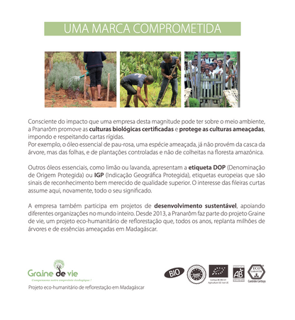 Óleo Essencial Eucalipto | Eucalyptus radiata | BIO | 10ml