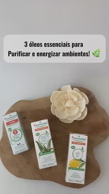 Top 3 Óleos Essenciais: Purificar ambientes