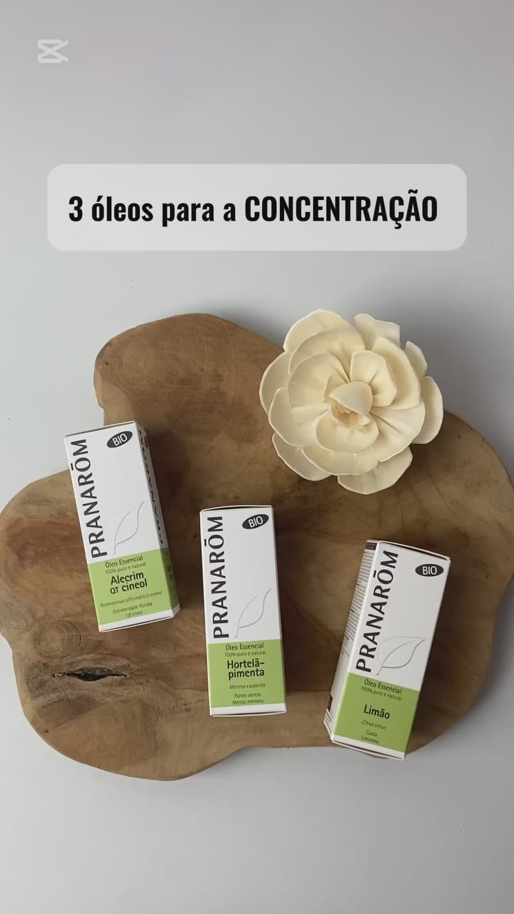 Top 3 Óleos Essenciais para Concentração
