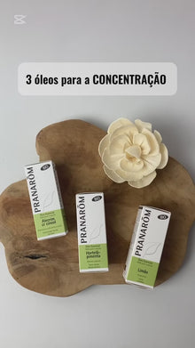 Top 3 Óleos Essenciais para Concentração