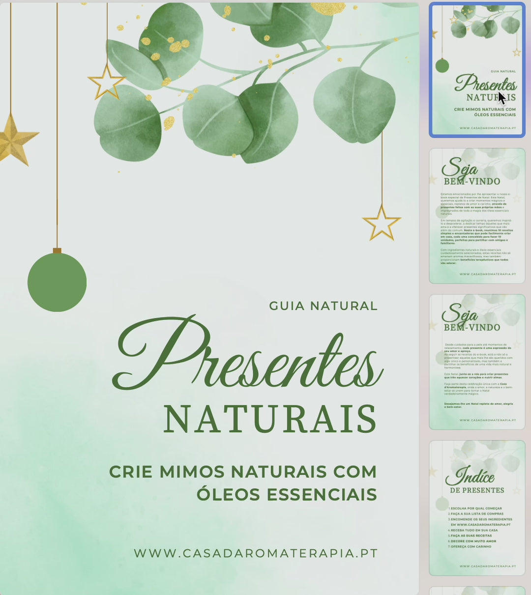 Guia Digital | Receitas Naturais de Natal 🎄 (envio por e-mail)