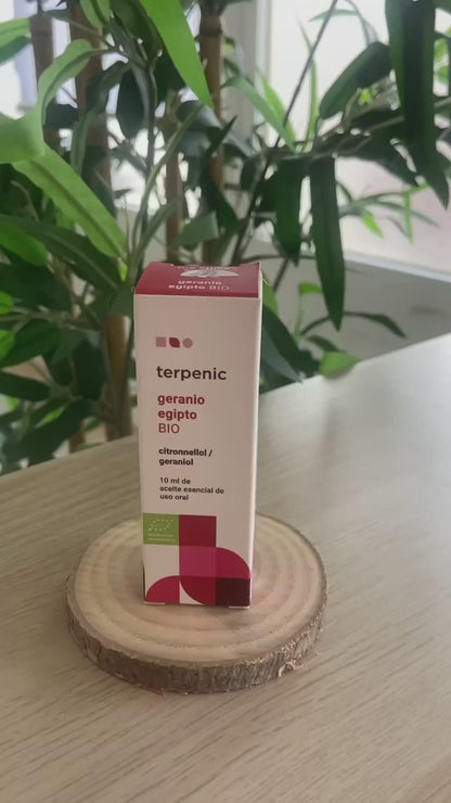 Óleo Essencial Gerânio Egipto 10ml bio | Pelargonium graveolens