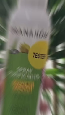 Purifying Spray Sweet Orange and Ravintsara 150ml (bio) 