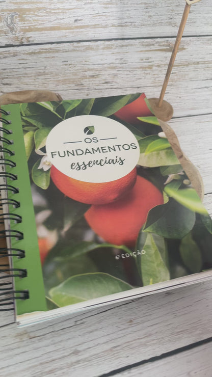 Livro: Fundamentos Essenciais -20%
