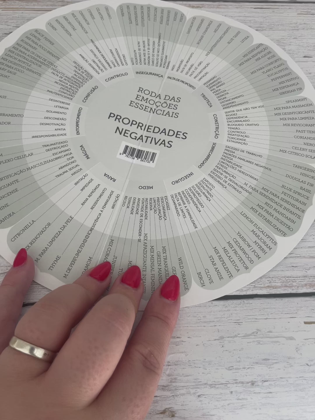 Roda das emoções em portugues