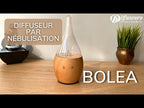 Diffuseur de nébulisation en bois