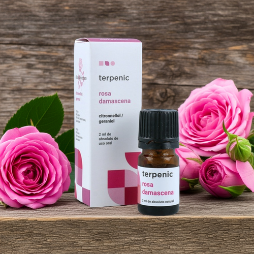 Absoluto Rosa Damascena 2ml bio | Rosa damascena