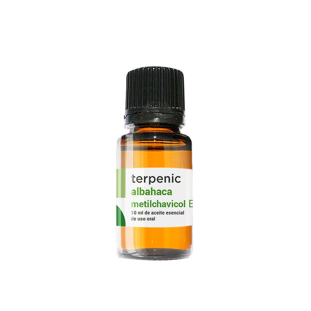 Óleo Essencial de Manjericão Metil Chavicol 10ml bio | Ocimum basilicum
