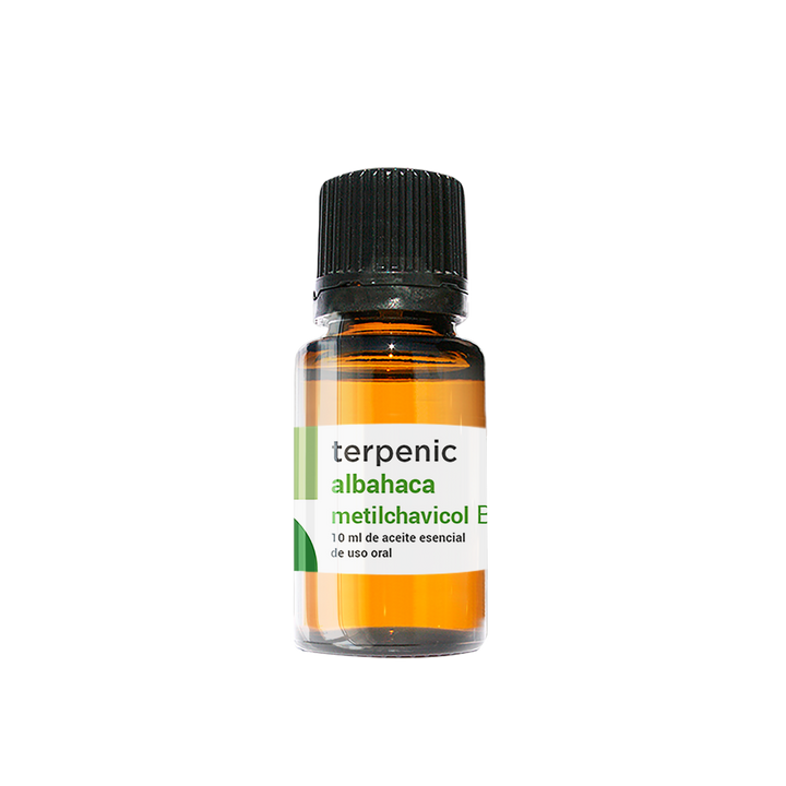 Óleo Essencial de Manjericão Metil Chavicol 10ml bio | Ocimum basilicum
