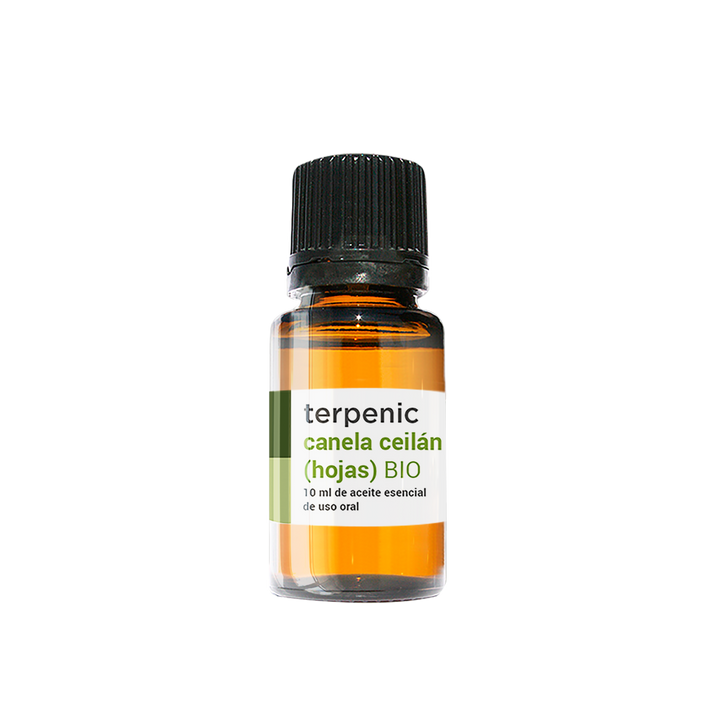 Óleo Essencial Canela Ceilão (folhas) 10ml 🌿bio | Cinnamomum zeylanicum