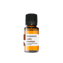 Óleo Essencial Cedro Himalaia 10ml | Cedrus deodara