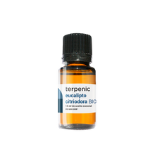 Blue Eucalyptus Essential Oil (bio) 10ml