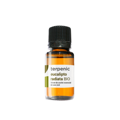 Óleo Essencial Eucalipto | Eucalyptus radiata | BIO