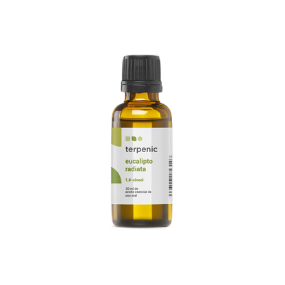 Óleo Essencial Eucalipto | Eucalyptus radiata | BIO