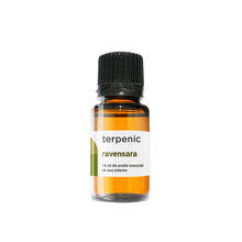 Huile Essentielle de Ravensara (bio) 10ml 