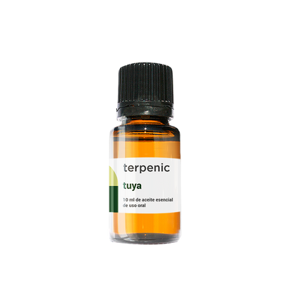 Óleo Essencial Tuya | Thuja occidentalis | 5ml