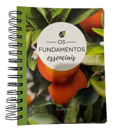Livro: Fundamentos Essenciais -20%