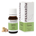 Óleo Essencial Copaíba 10ml | Copaifera officinalis