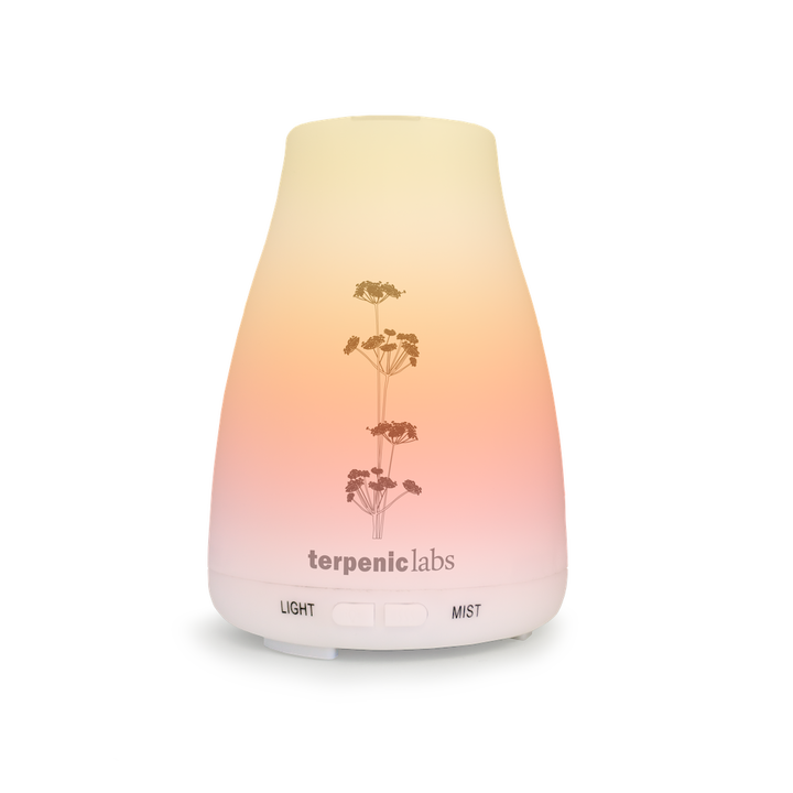 Bruma ultrasonic diffuser 